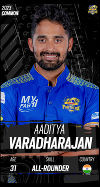 Aaditya Varadharajan Collectible Surface Thumbnail