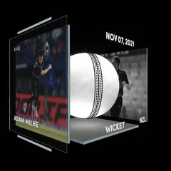 Adam Milne Collectible Surface Thumbnail