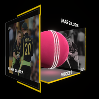 Adam Zampa Collectible Surface Thumbnail