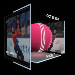 Adil Rashid Collectible Surface Thumbnail