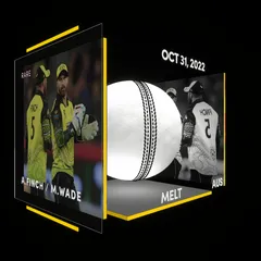 Aaron Finch Collectible Surface Thumbnail