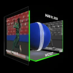 Aiman Anwar Collectible Surface Thumbnail