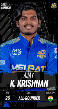 Ajay K Krishnan Collectible Surface Thumbnail