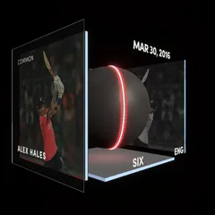 Alex Hales Collectible Surface Thumbnail