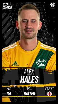 Alex Hales Collectible Surface Thumbnail