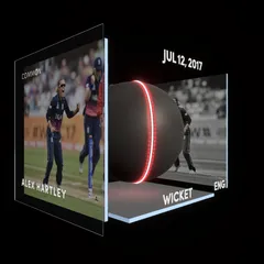 Alex Hartley Collectible Surface Thumbnail