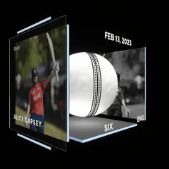 Alice Capsey Collectible Surface Thumbnail