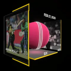 Alyssa Healy Collectible Surface Thumbnail