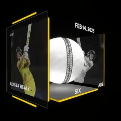 Alyssa Healy Collectible Surface Thumbnail