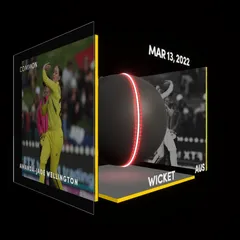 Amanda-Jade Wellington Collectible Surface Thumbnail