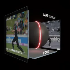 Amy Satterthwaite Collectible Surface Thumbnail