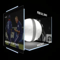 Andrew Flintoff Collectible Surface Thumbnail