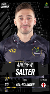 Andrew Salter Collectible Surface Thumbnail