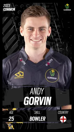 Andy Gorvin Collectible Surface Thumbnail