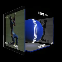 Anuk Fernando Collectible Surface Thumbnail