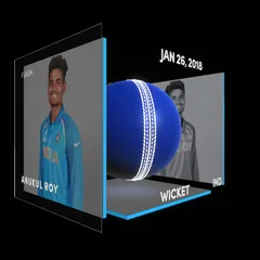 Anukul Roy Collectible Surface Thumbnail