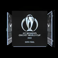Anya Shrubsole Collectible Surface Thumbnail