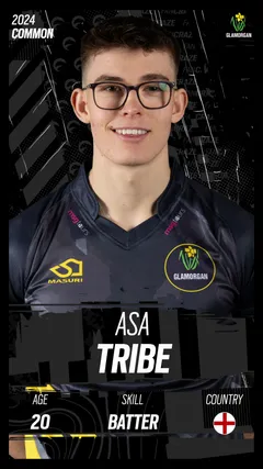 Asa Tribe Collectible Surface Thumbnail