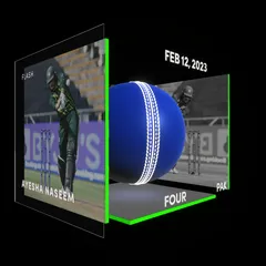 Ayesha Naseem Collectible Surface Thumbnail