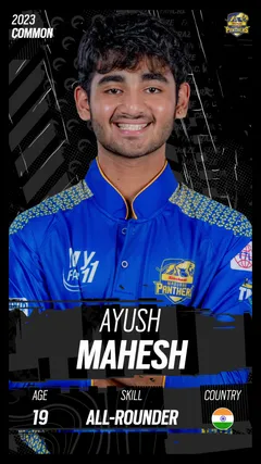 Ayush Mahesh Collectible Surface Thumbnail