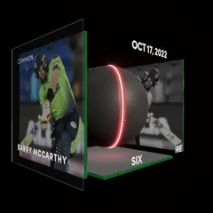 Barry McCarthy Collectible Surface Thumbnail