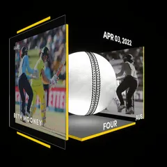 Beth Mooney Collectible Surface Thumbnail