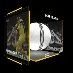 Brad Haddin Collectible Surface Thumbnail