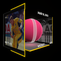 Brett Lee Collectible Surface Thumbnail