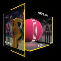 Brett Lee Collectible Surface Thumbnail