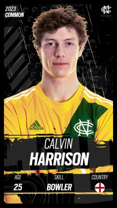 Calvin Harrison Collectible Surface Thumbnail