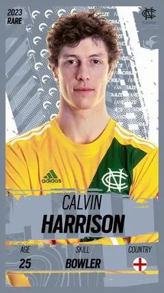 Calvin Harrison Collectible Surface Thumbnail