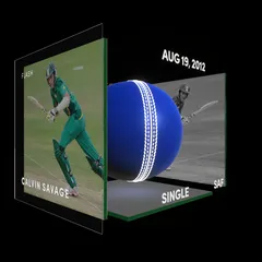 Calvin Savage Collectible Surface Thumbnail