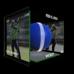 Cara Murray Collectible Surface Thumbnail