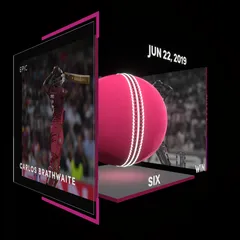Carlos Brathwaite Collectible Surface Thumbnail
