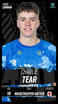 Charlie Tear Collectible Surface Thumbnail