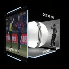 Chris Jordan Collectible Surface Thumbnail