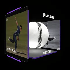 Chris Sole Collectible Surface Thumbnail