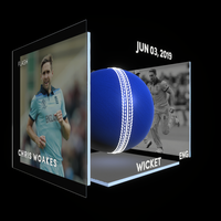 Chris Woakes Collectible Surface Thumbnail