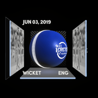 Chris Woakes Collectible Surface Thumbnail