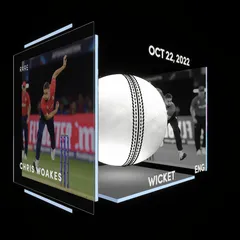 Chris Woakes Collectible Surface Thumbnail