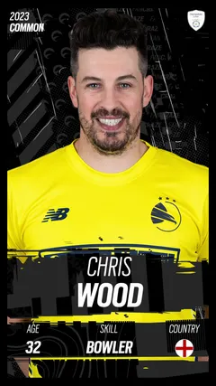 Chris Wood Collectible Surface Thumbnail