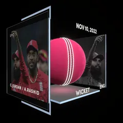 Chris Jordan Collectible Surface Thumbnail