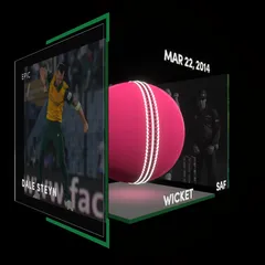 Dale Steyn  Collectible Surface Thumbnail
