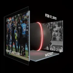 Daniel Vettori Collectible Surface Thumbnail
