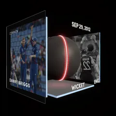 Danny Briggs Collectible Surface Thumbnail