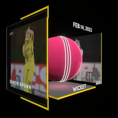 Darcie Brown Collectible Surface Thumbnail