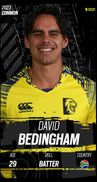 David Bedingham Collectible Surface Thumbnail