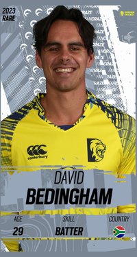 David Bedingham Collectible Surface Thumbnail