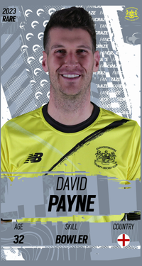 David Payne Collectible Surface Thumbnail