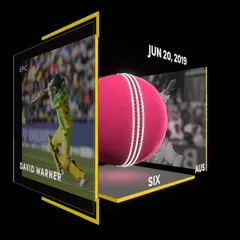 David Warner Collectible Surface Thumbnail